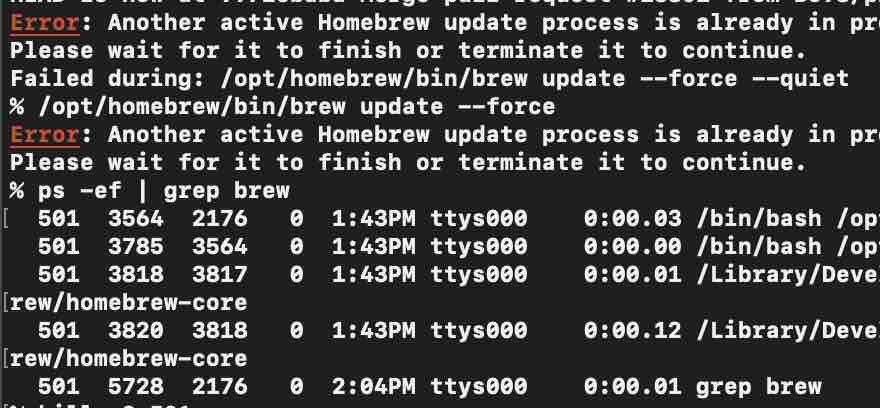 Error - Another active Homebrew update process is already in progress